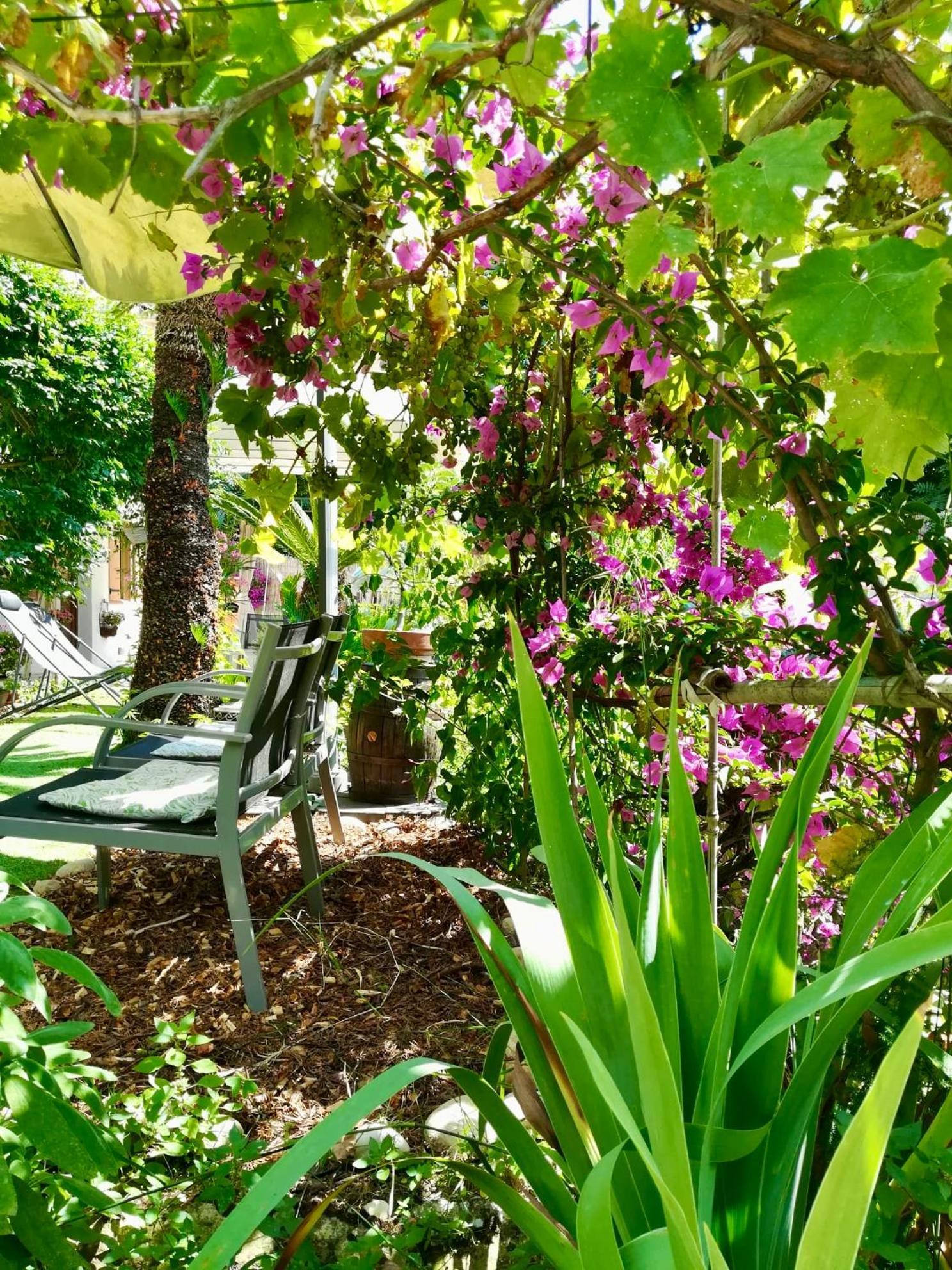 Villa Bellabe Nice Eksteriør billede
